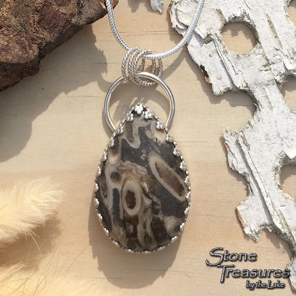 Aulocystis Fossil Pendant Necklace