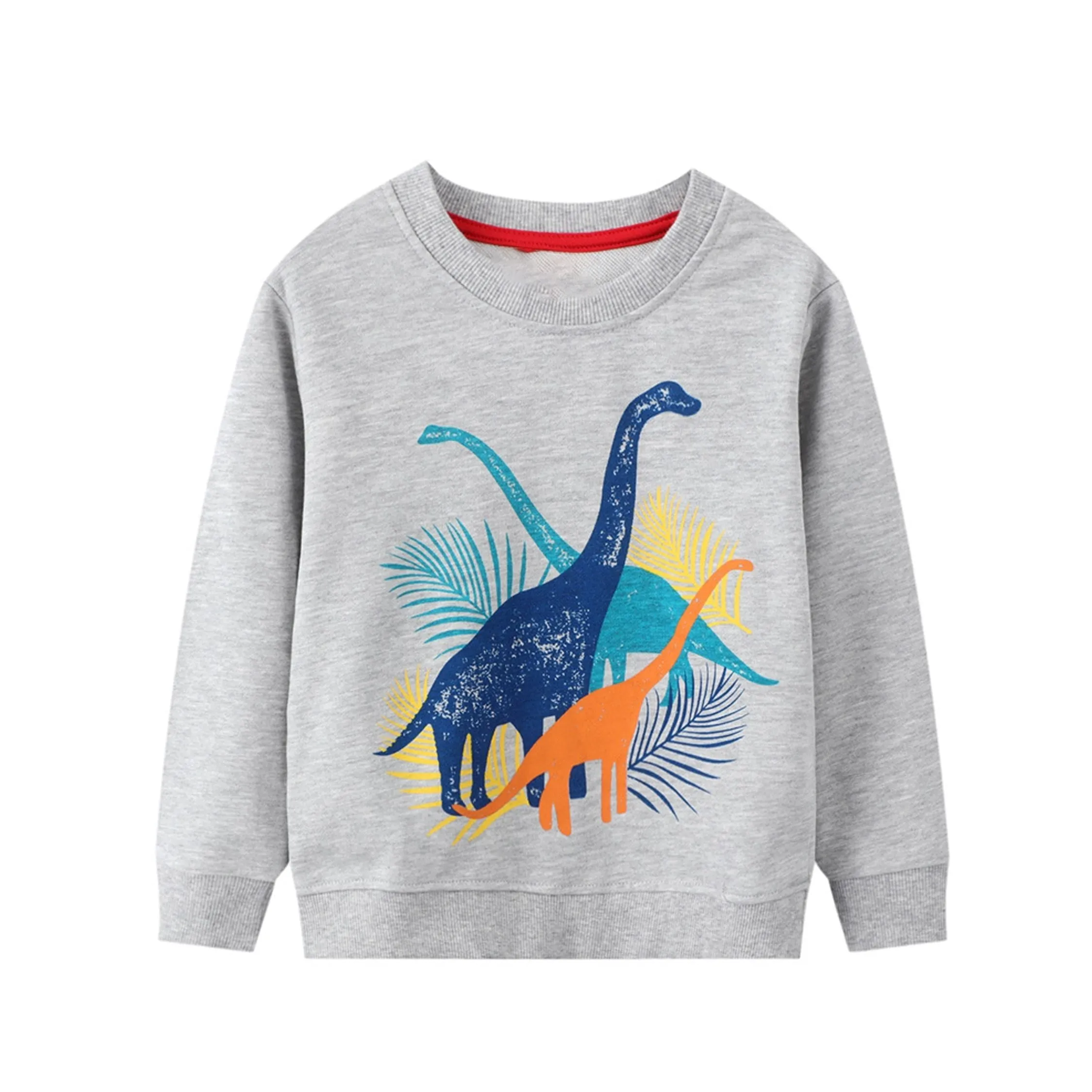 Fancy Dinosaur Boys sweatshirt ,Gray