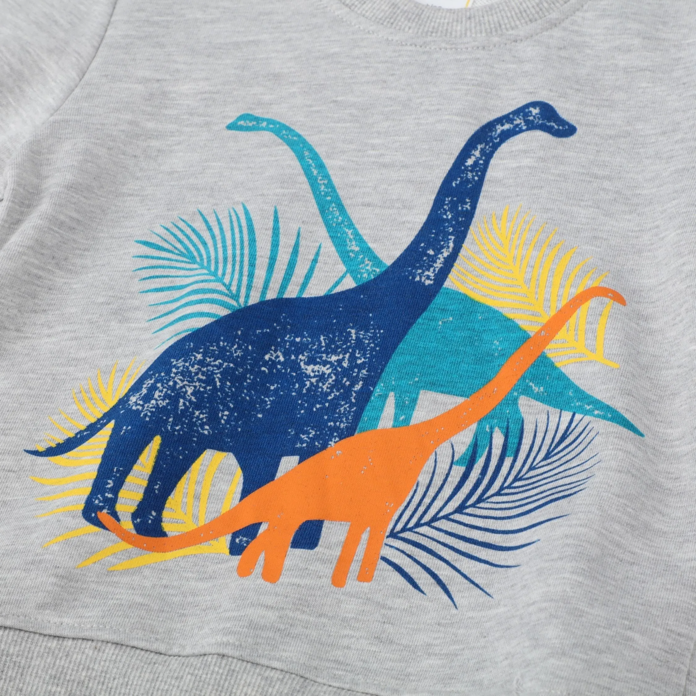 Fancy Dinosaur Boys sweatshirt ,Gray